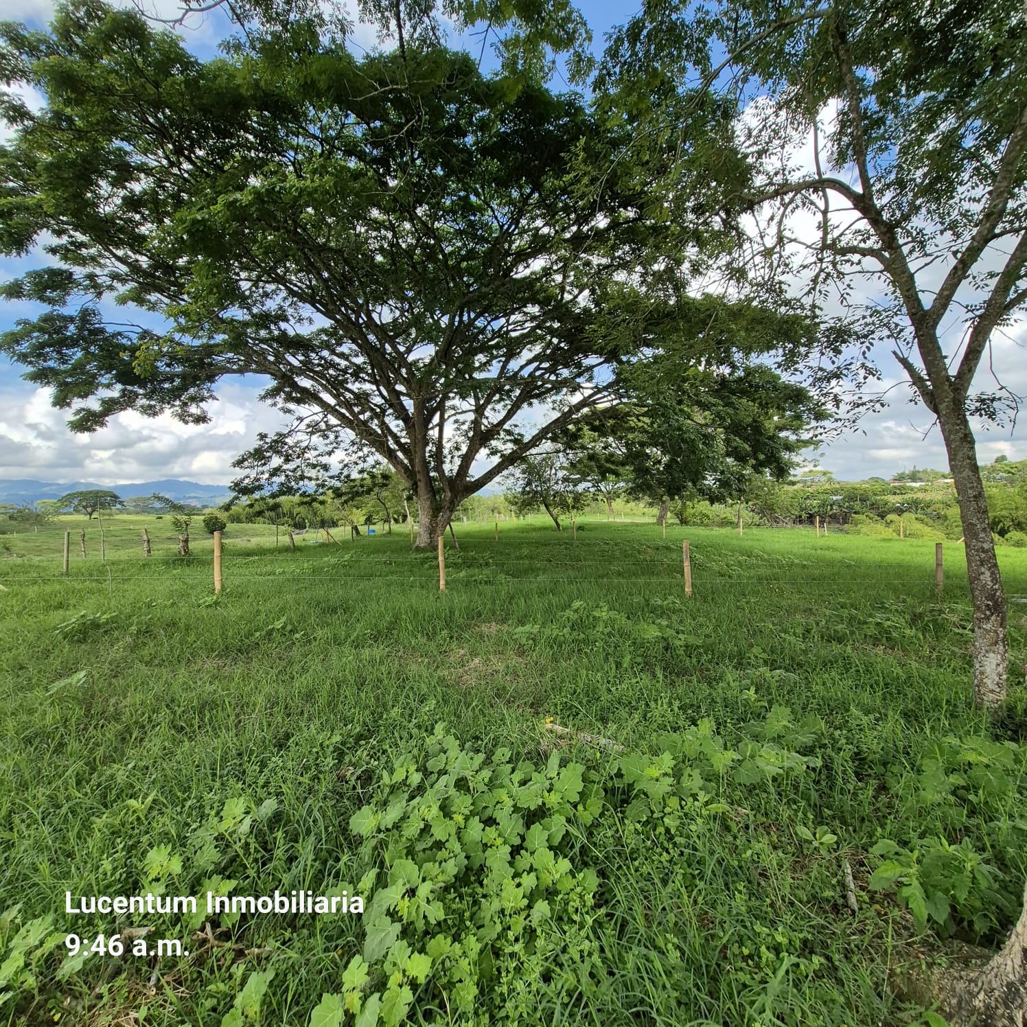 Venta Lotes Vía Alcalá Valle.